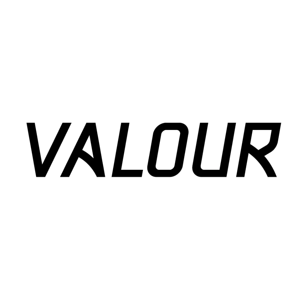 Valour Logo